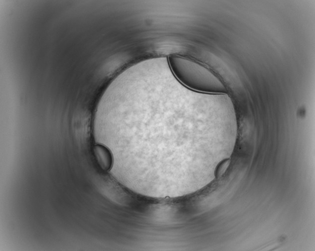 X0000102390356200808151926