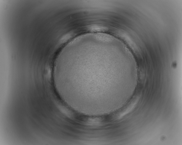 X0000102390357200808151926