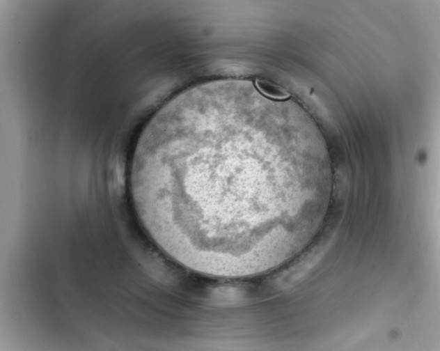 X0000102390358200808151926