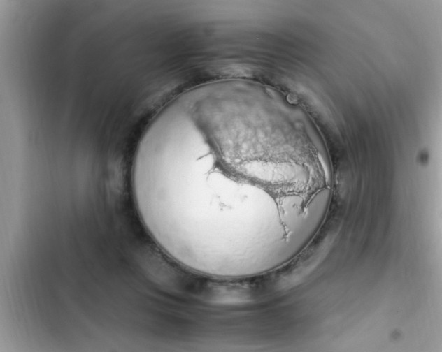 X0000102390359200808151926