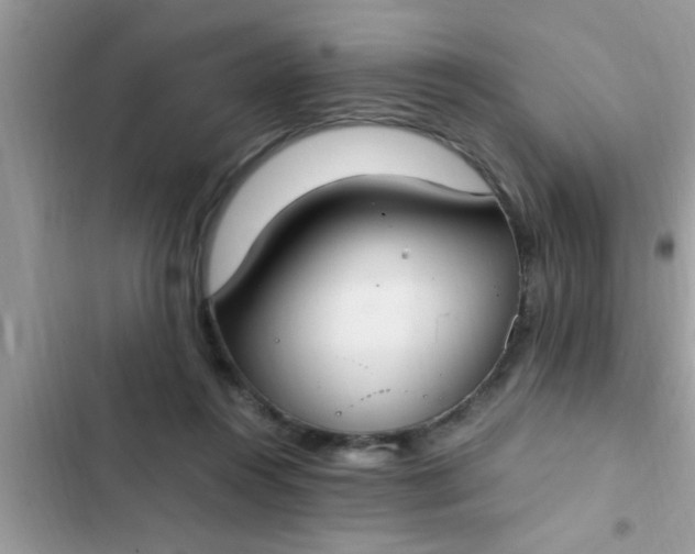 X0000102390360200808151926