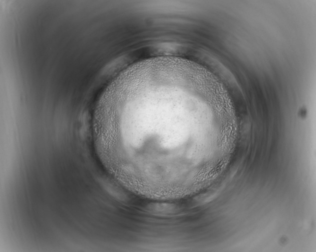 X0000102390361200808151926