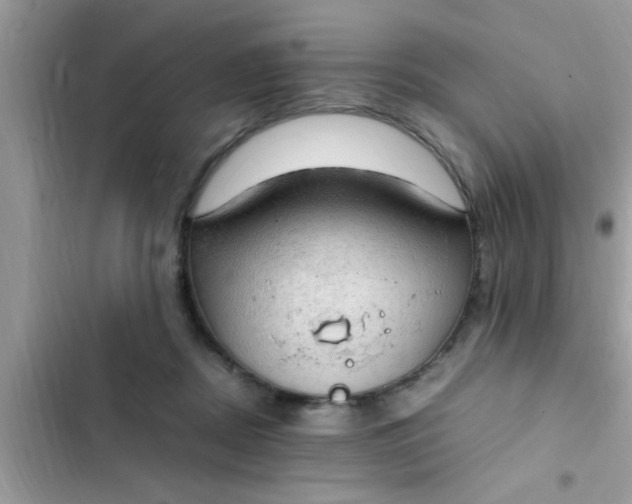 X0000102390362200808151926