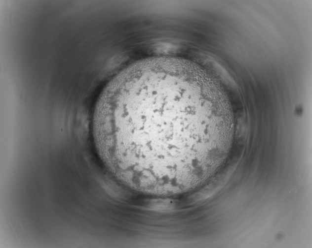 X0000102390363200808151926