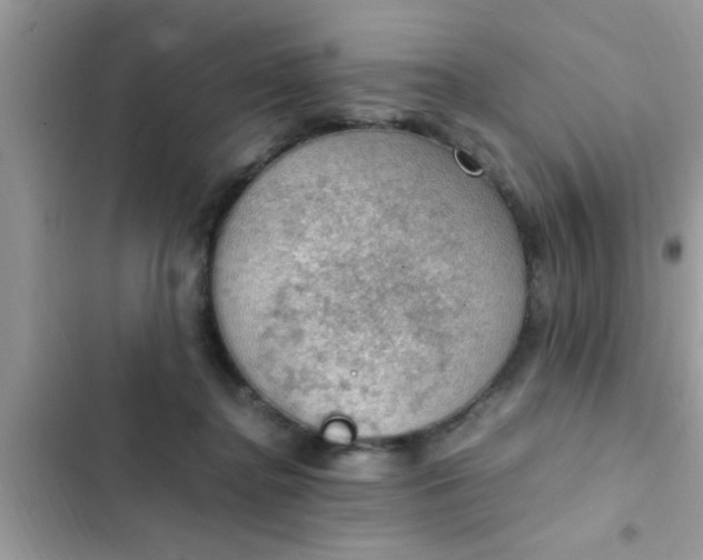 X0000102390364200808151926