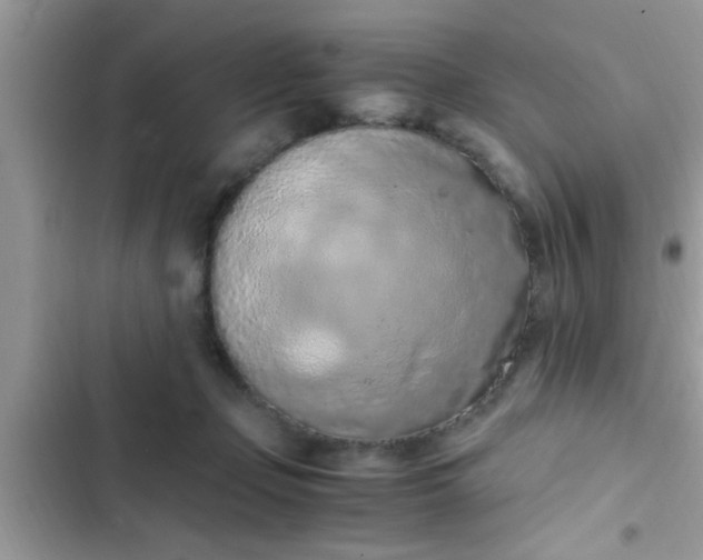 X0000102390365200808151926