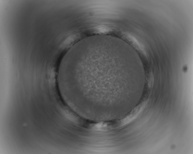 X0000102390366200808151926