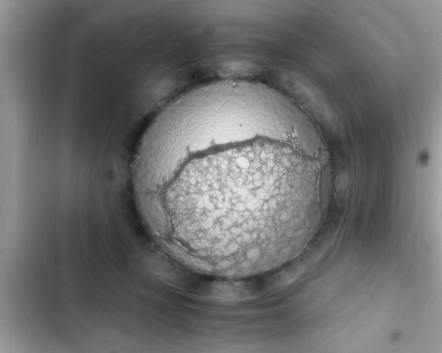 X0000102390367200808151926