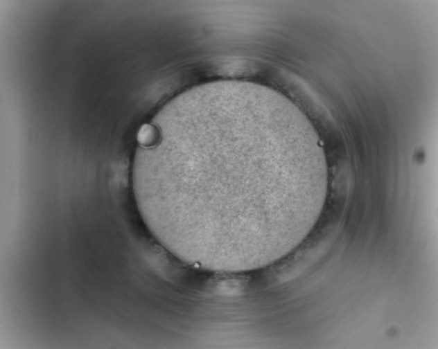 X0000102390368200808151926