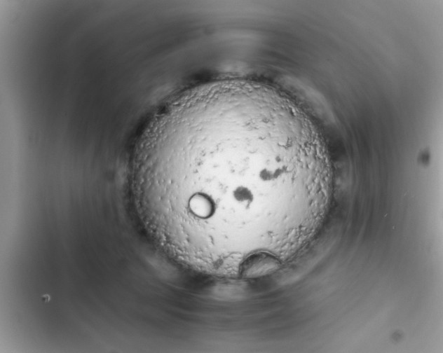 X0000102390369200808151926