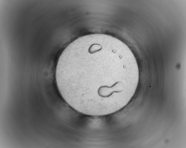 X0000102390370200808151926