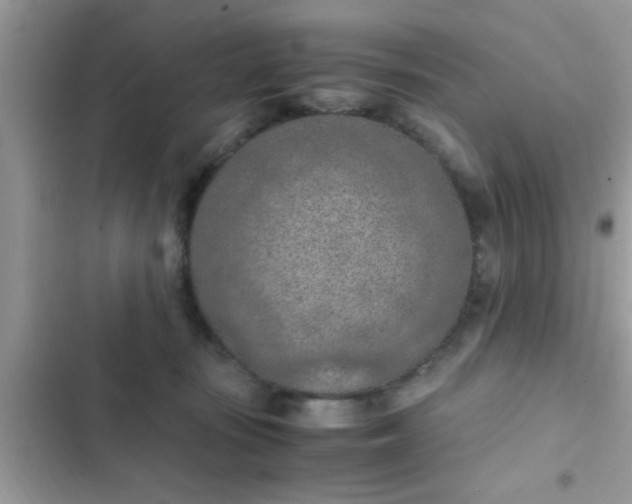 X0000102390371200808151926