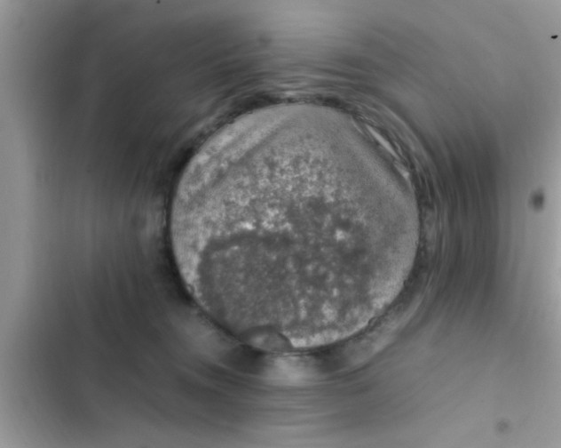 X0000102390372200808151926