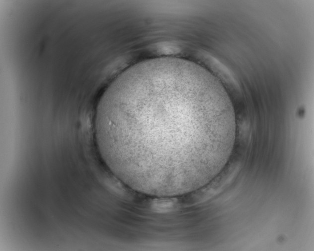 X0000102390373200808151926