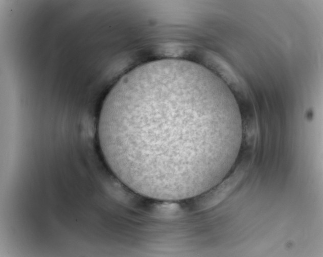 X0000102390374200808151926