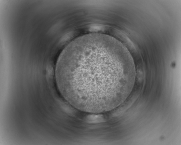 X0000102390375200808151926