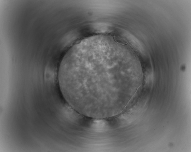 X0000102390376200808151926