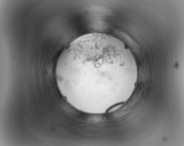 X0000102390377200808151926