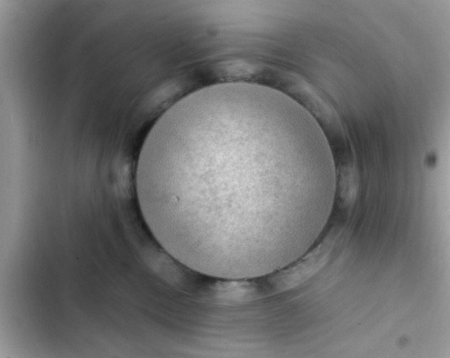 X0000102390378200808151926