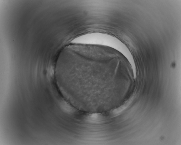 X0000102390382200808151926