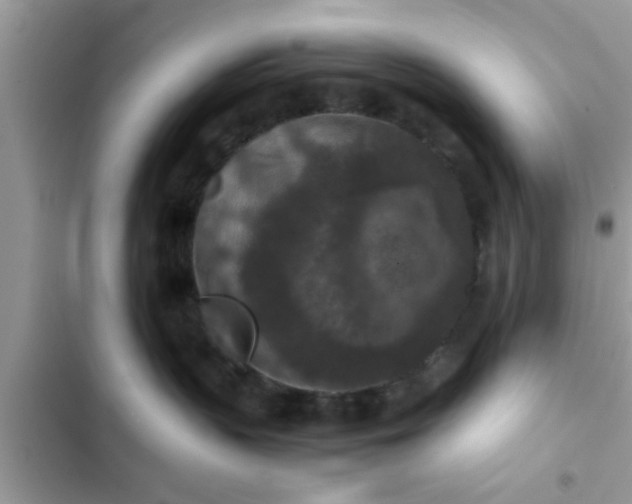 X0000102390383200808151926