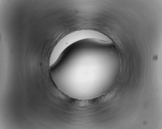 X0000102390384200808151926