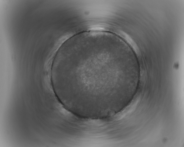 X0000102390385200808151925