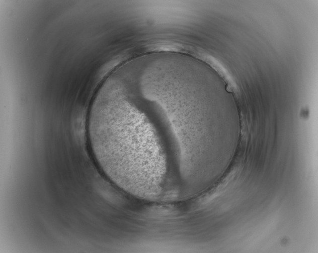 X0000102390386200808151925