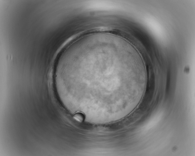 X0000102390387200808151925