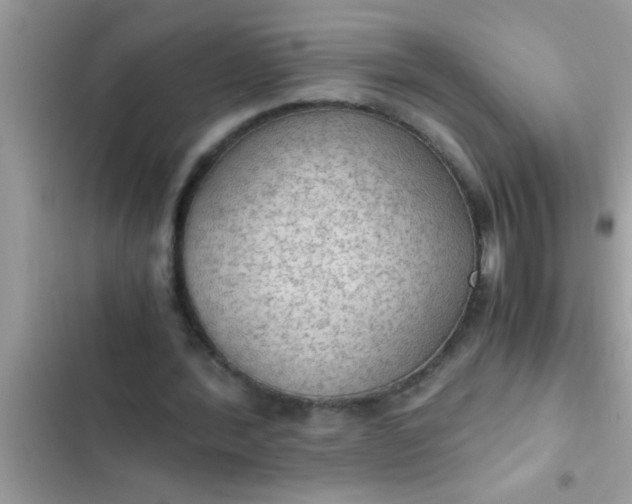 X0000102390388200808151925