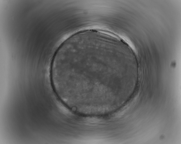 X0000102390389200808151925