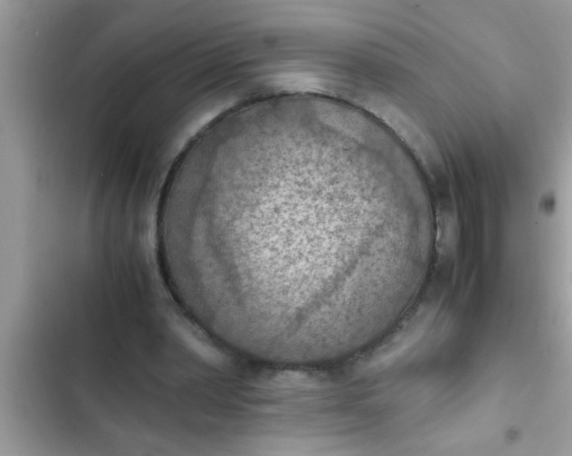 X0000102390390200808151925