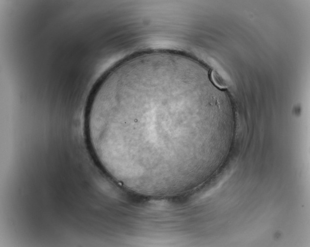 X0000102390391200808151925