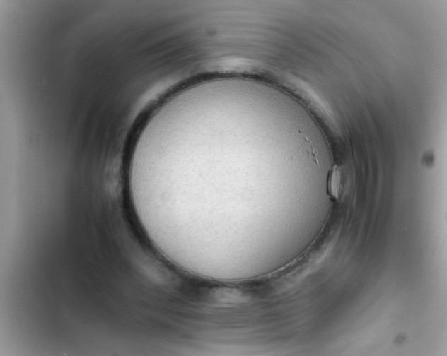 X0000102390392200808151925