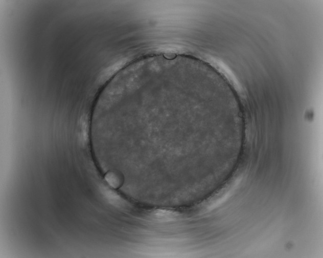 X0000102390393200808151925