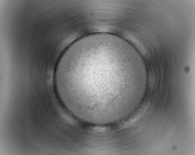 X0000102390394200808151925