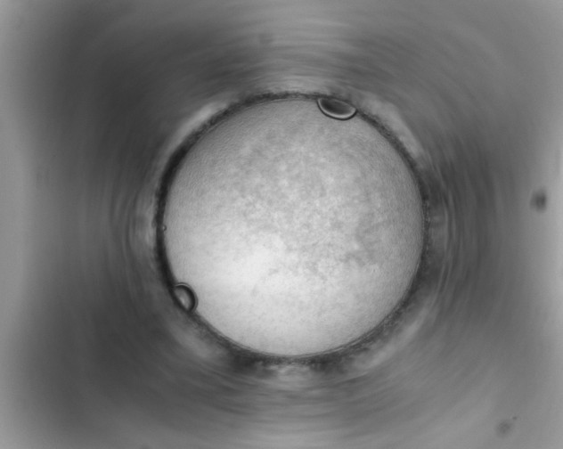 X0000102390395200808151925