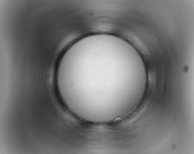 X0000102390396200808151925