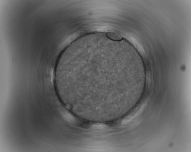 X0000102390397200808151925