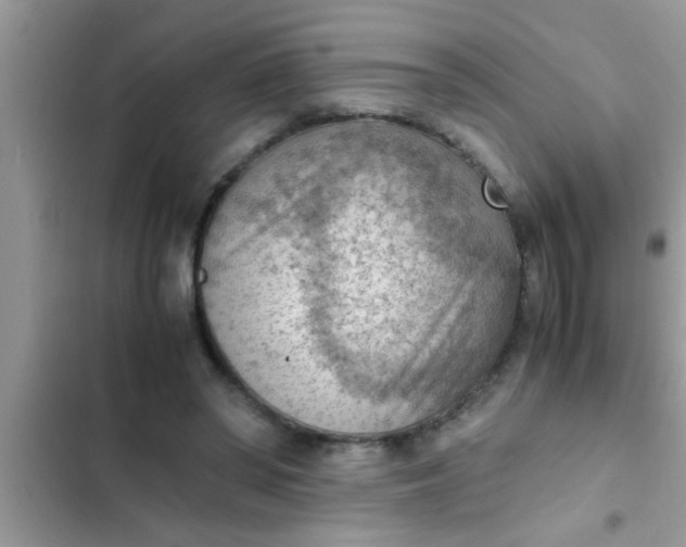 X0000102390398200808151925