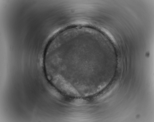 X0000102390399200808151925