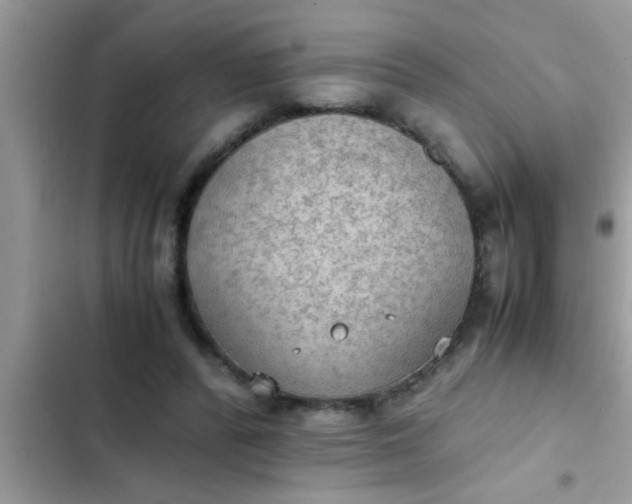 X0000102390400200808151925