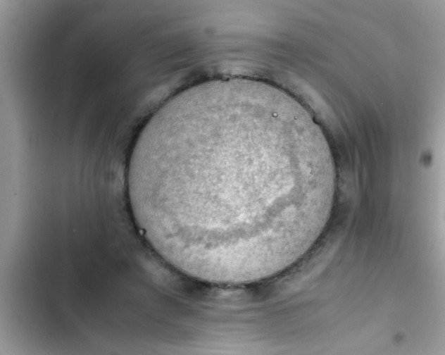 X0000102390401200808151925