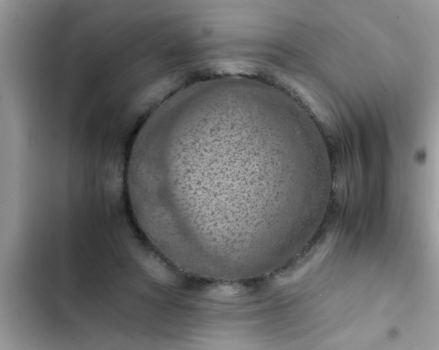 X0000102390402200808151925