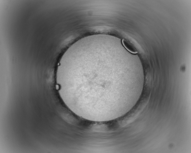 X0000102390403200808151925