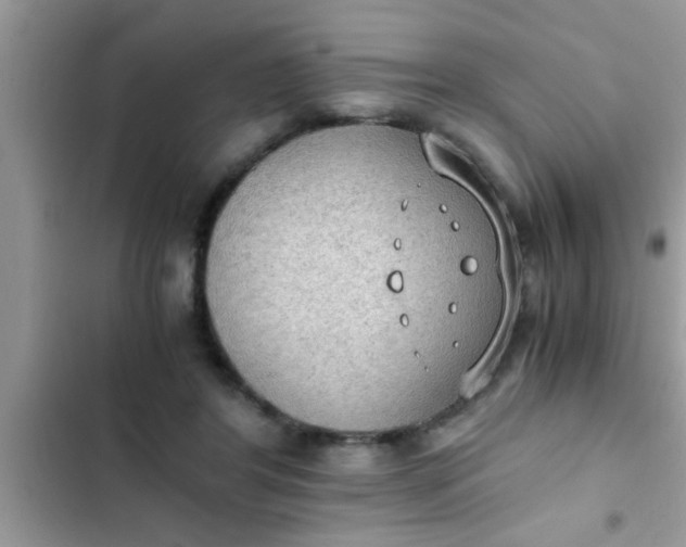 X0000102390404200808151925