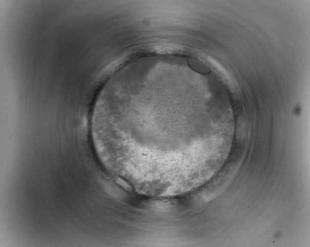 X0000102390405200808151925