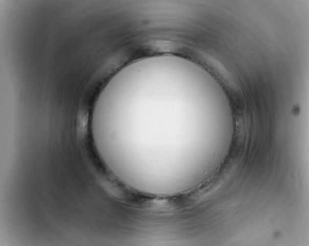 X0000102390406200808151925