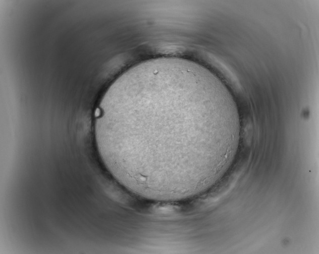 X0000102390407200808151925