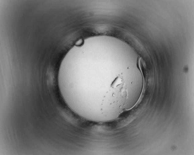 X0000102390408200808151925